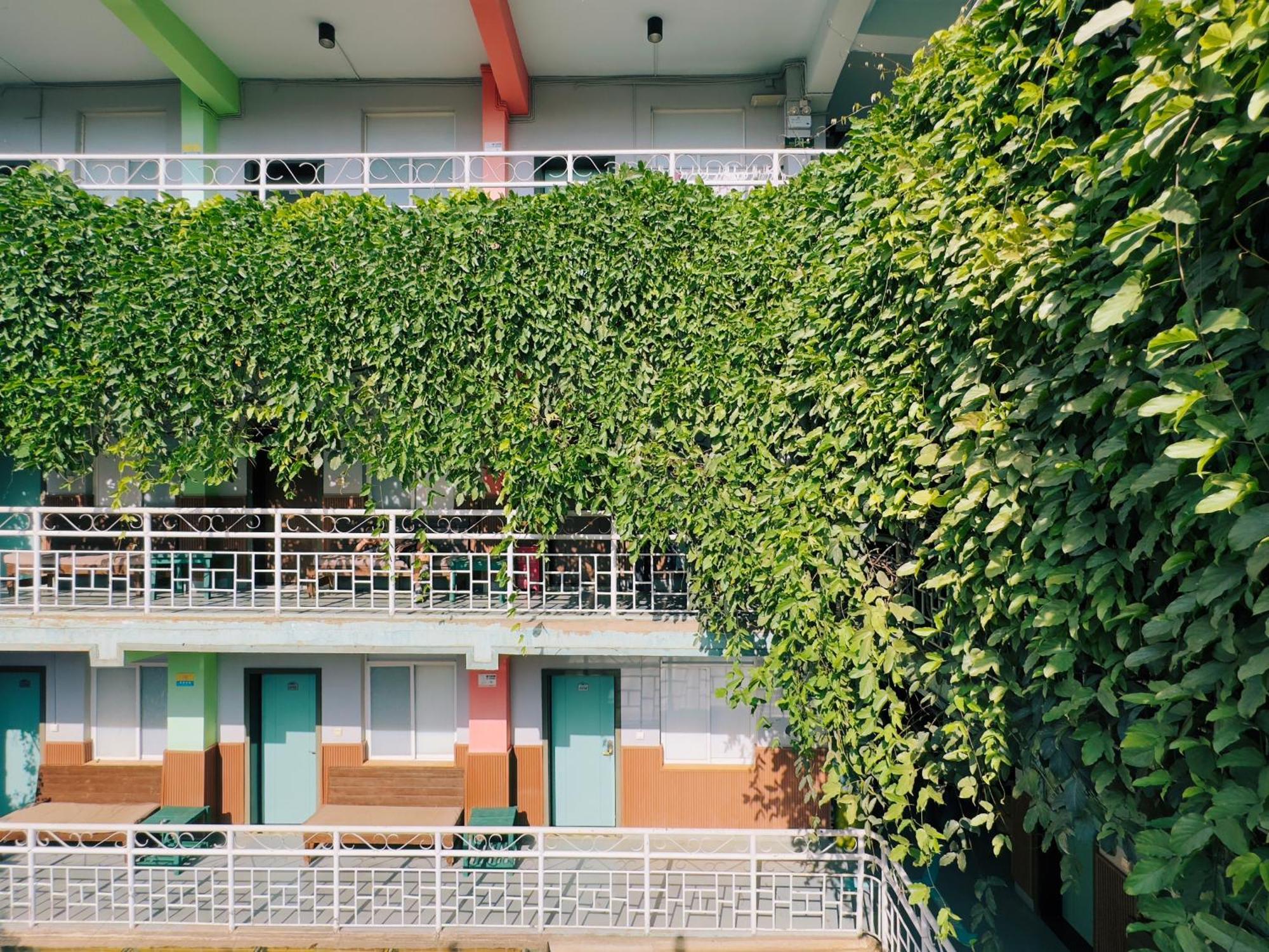 The Cloudland International Youth Hostel Close To The City Center,10 Min Walks To The Subway, Close To The Night Market, Old Street, Green Lake, English-Speaking Service, Free Activity Convenient Payment And Visa Cards Are Accepted Kunming Extérieur photo