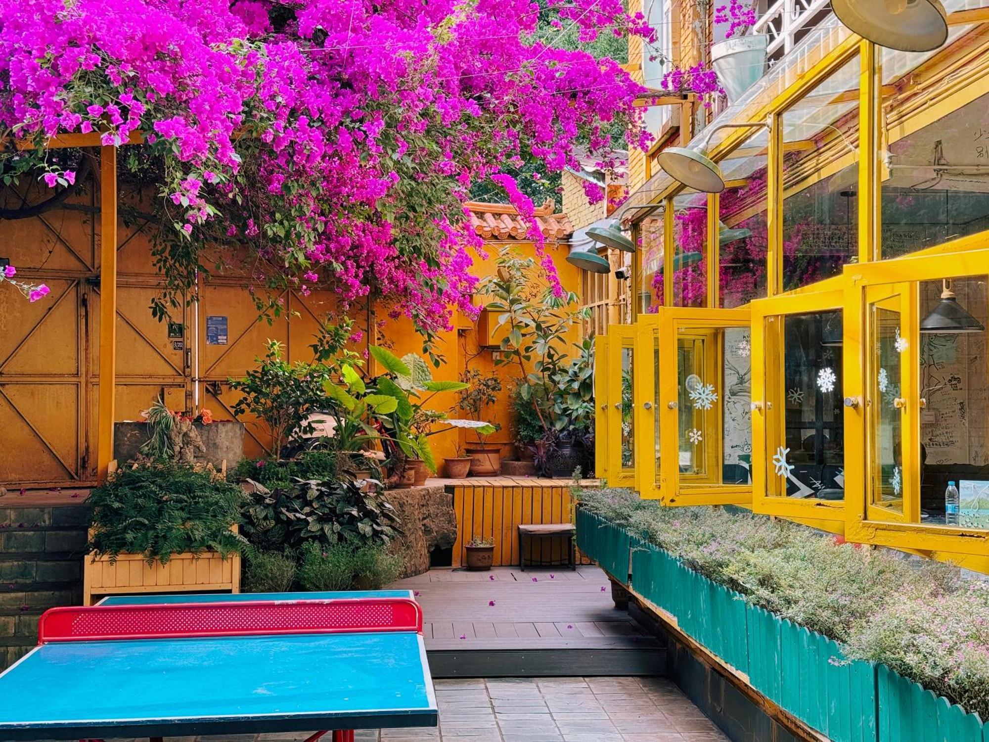 The Cloudland International Youth Hostel Close To The City Center,10 Min Walks To The Subway, Close To The Night Market, Old Street, Green Lake, English-Speaking Service, Free Activity Convenient Payment And Visa Cards Are Accepted Kunming Extérieur photo